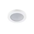 Immagine di PANNELLO/FARETTO FLINI - CON LAMPADINA - IP44/IP20 - DSO - BIANCO - FORO 60